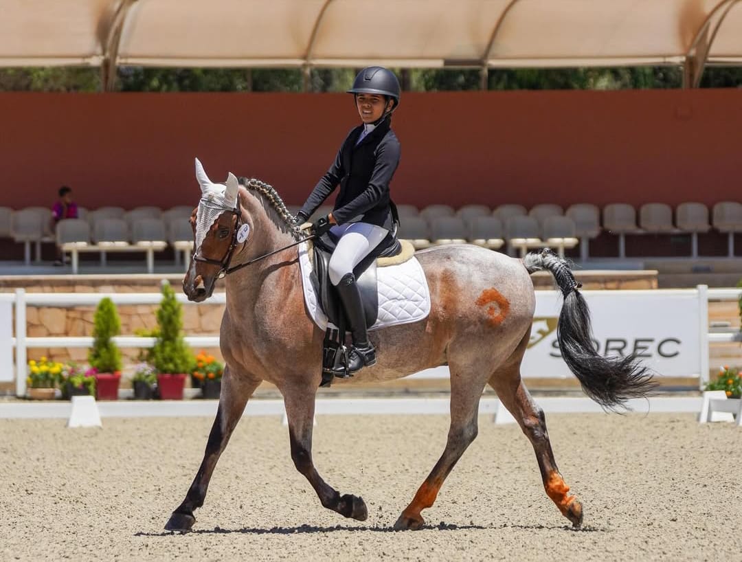 Dressage